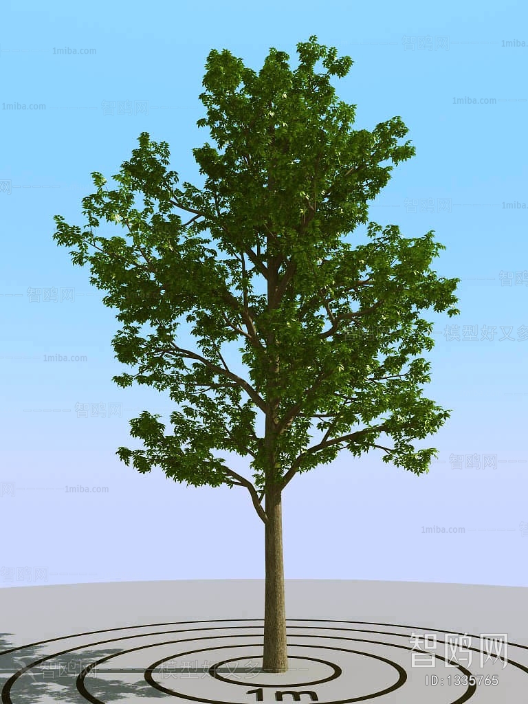 Modern Tree