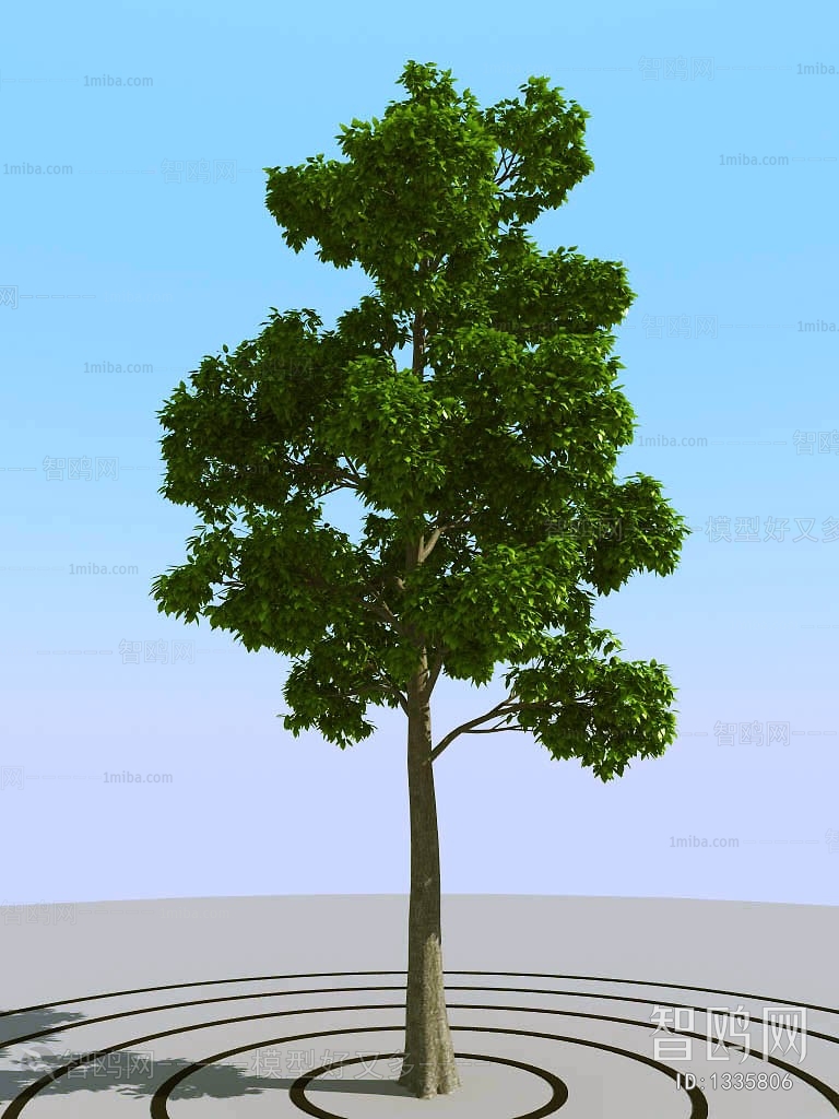 Modern Tree