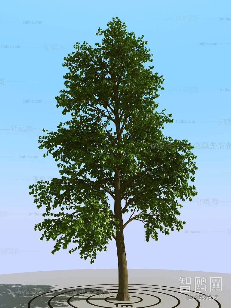 Modern Tree