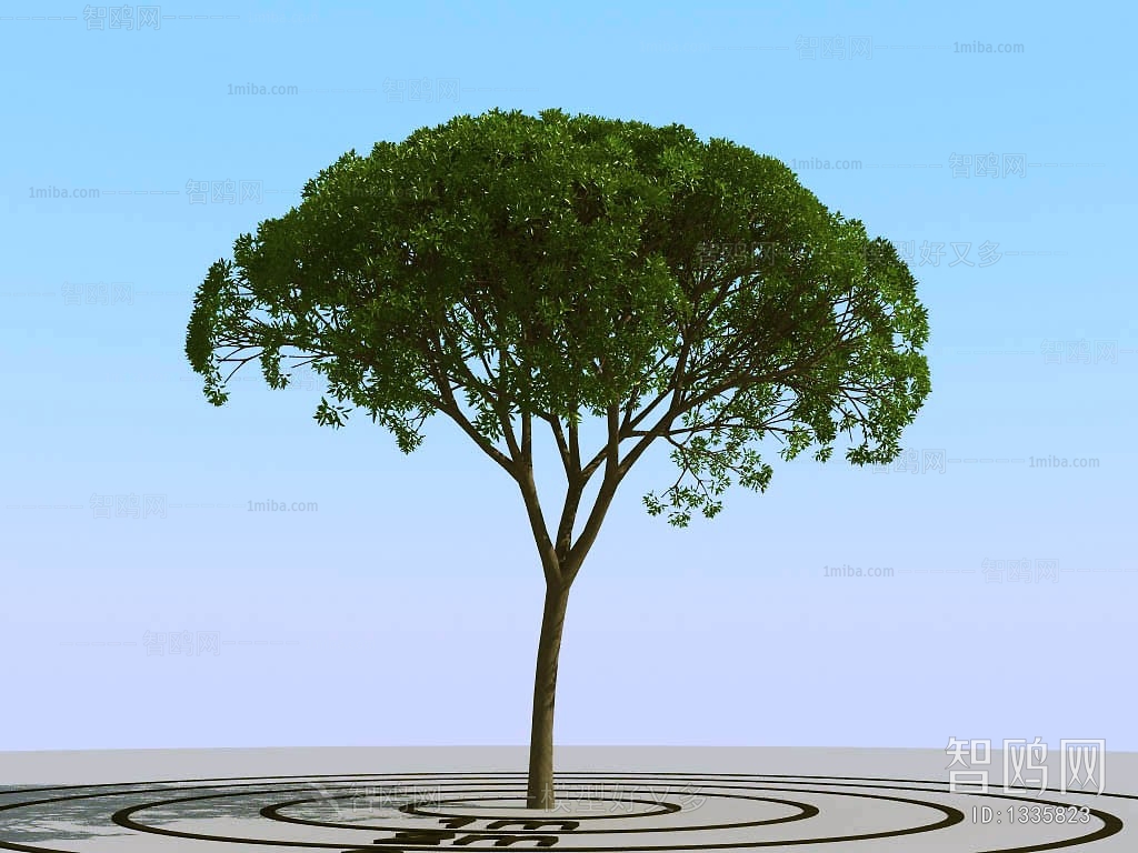 Modern Tree