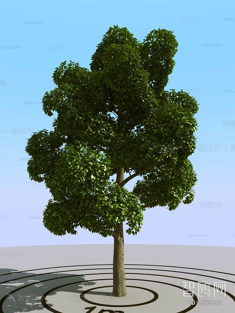 Modern Tree