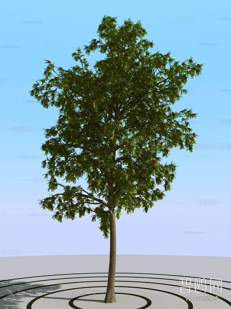 Modern Tree