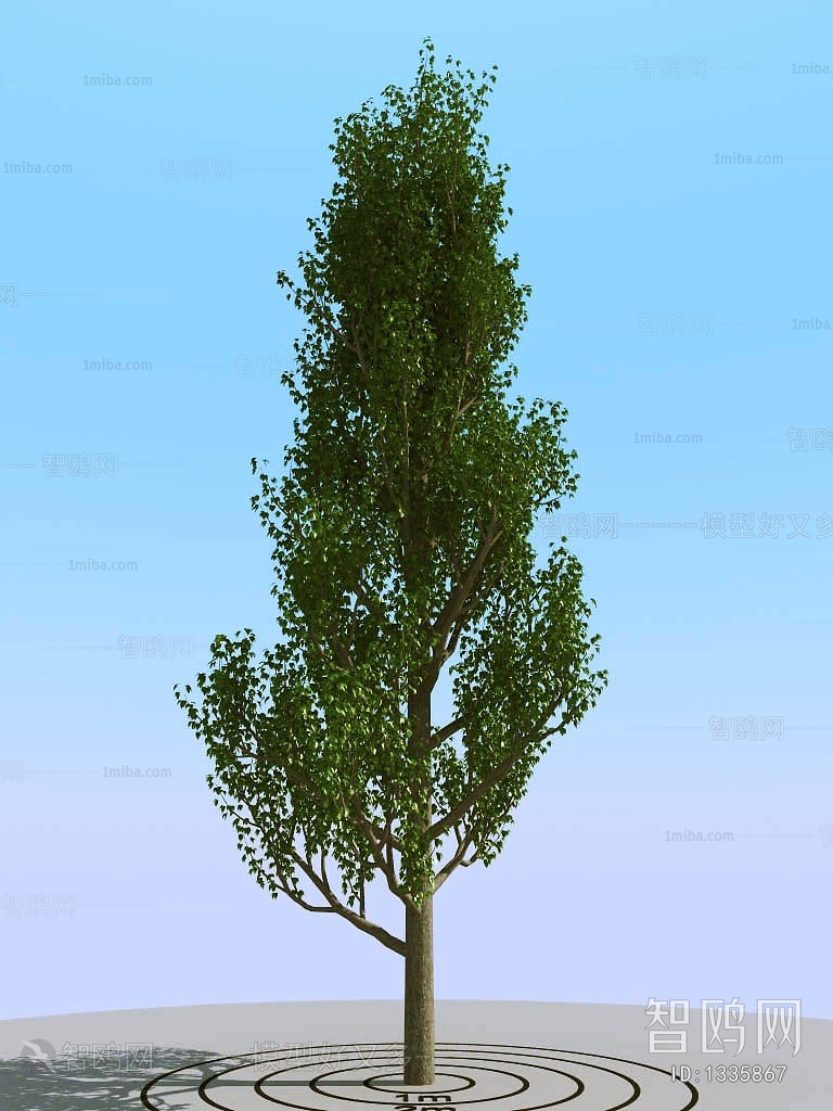 Modern Tree