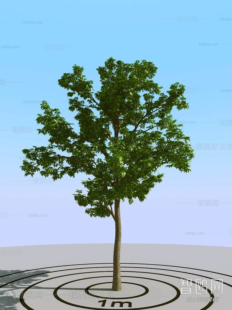 Modern Tree