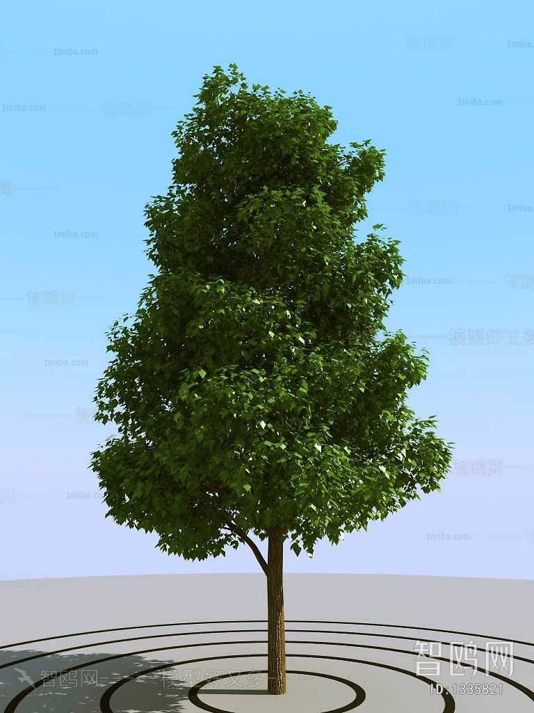 Modern Tree