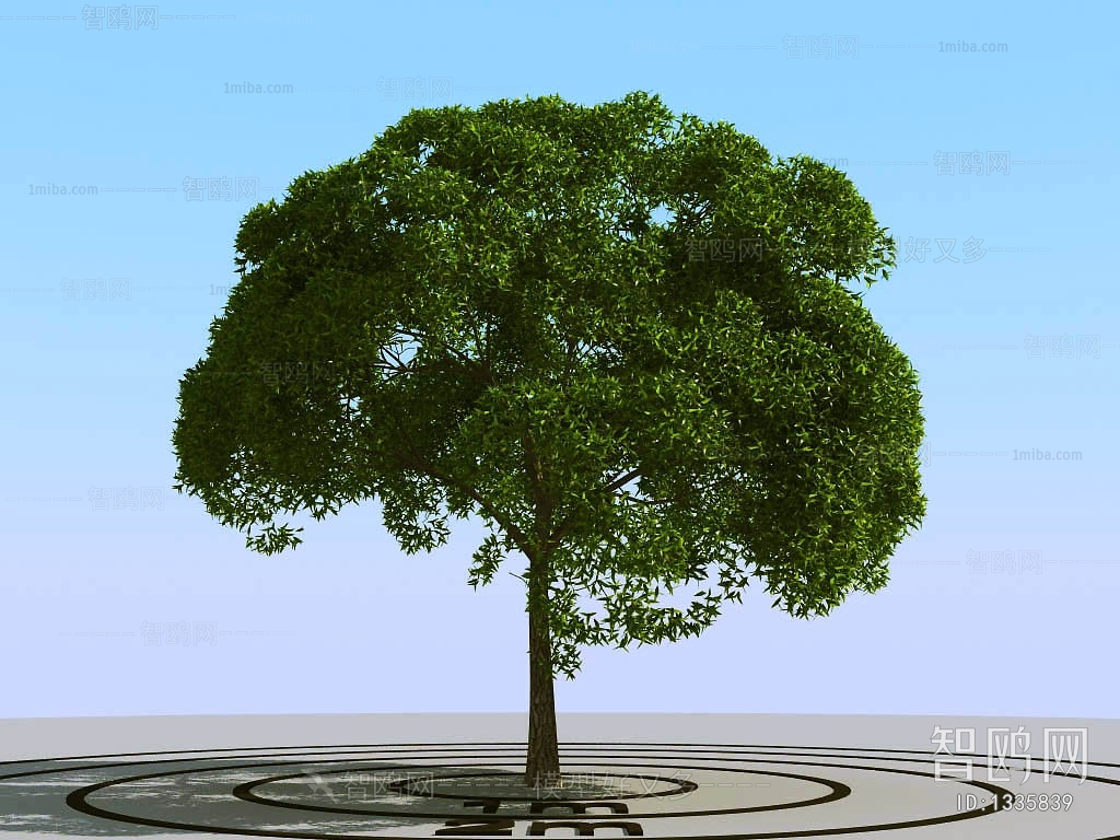 Modern Tree