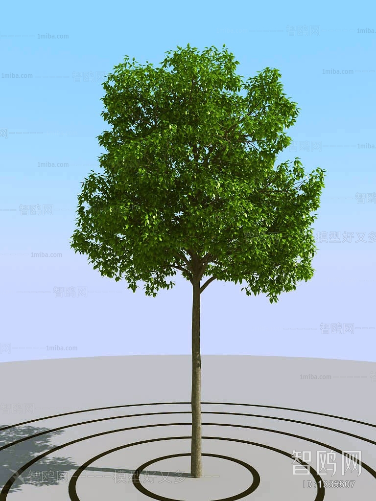 Modern Tree