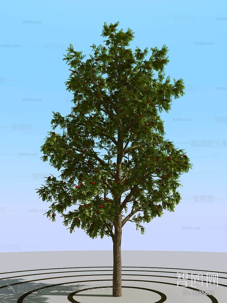 Modern Tree