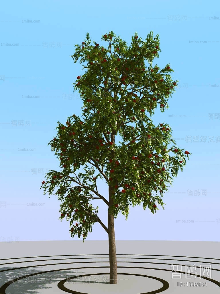 Modern Tree