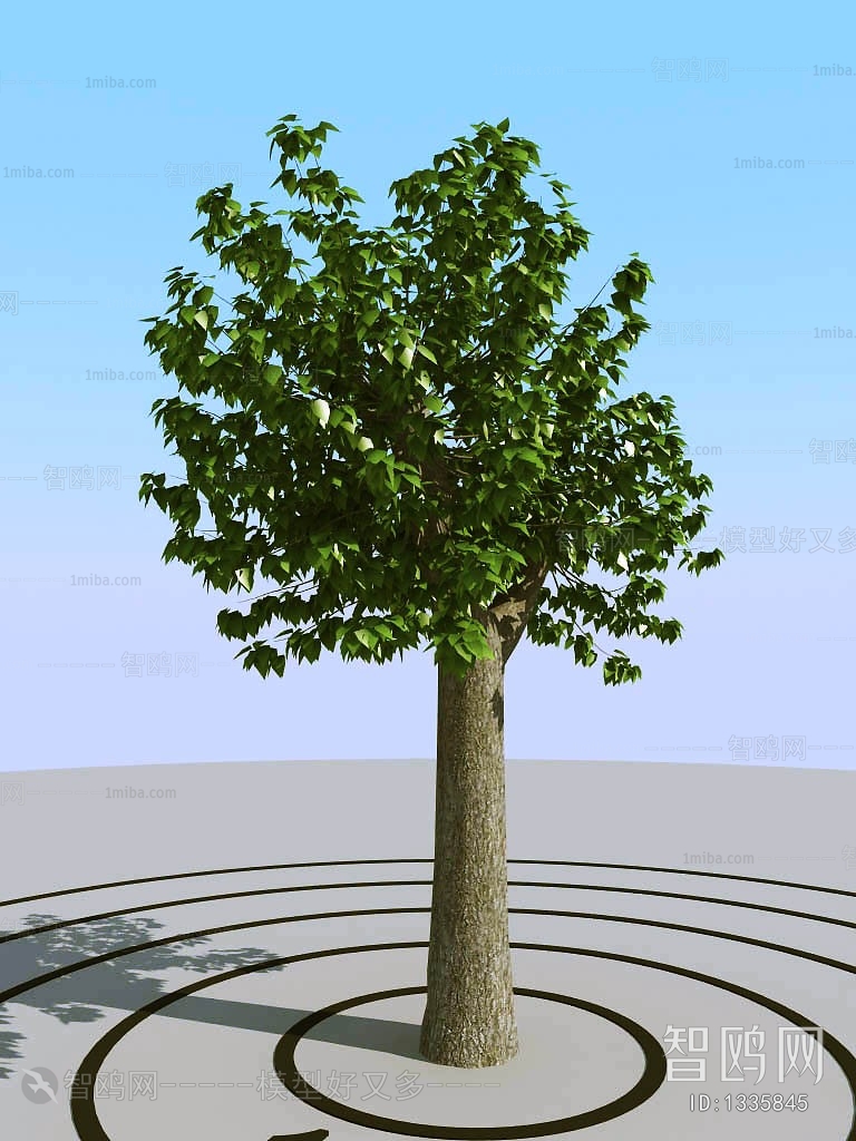 Modern Tree