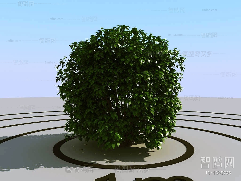 Modern Shrubbery