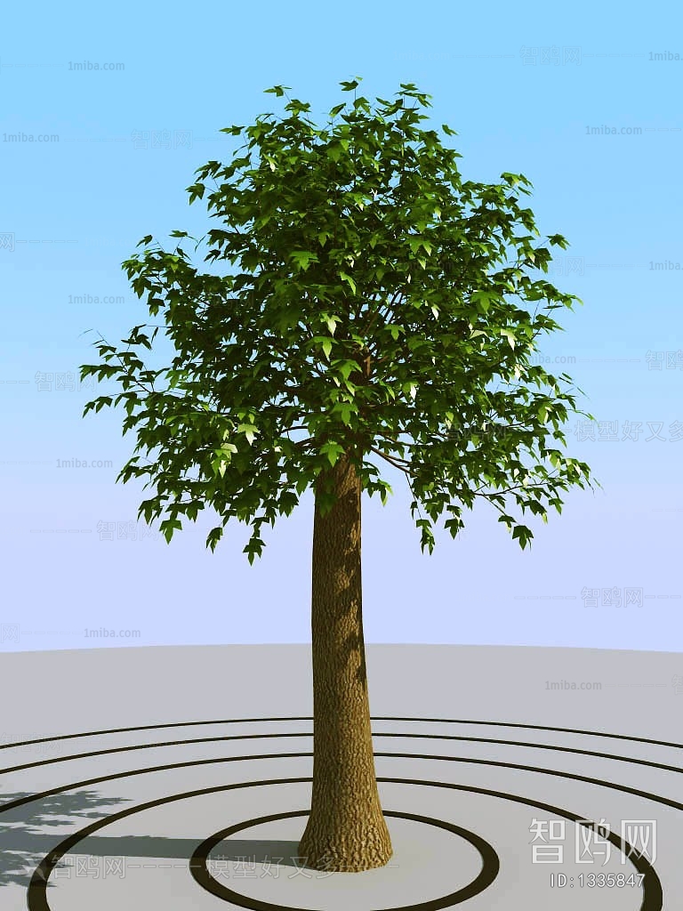 Modern Tree