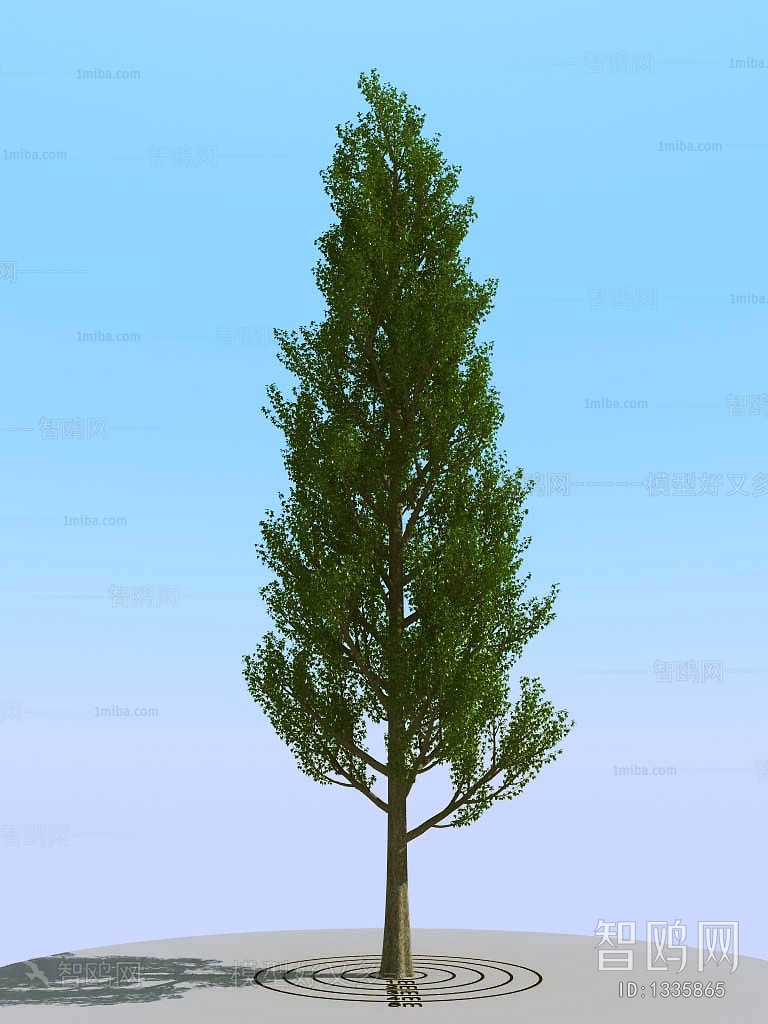 Modern Tree