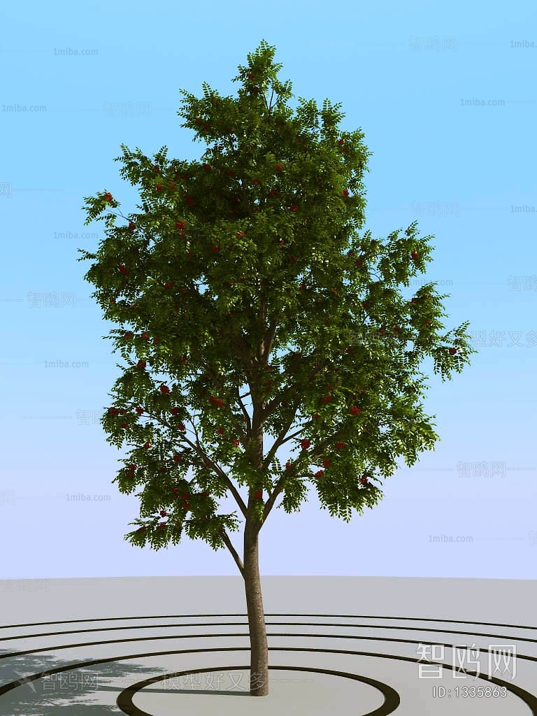 Modern Tree