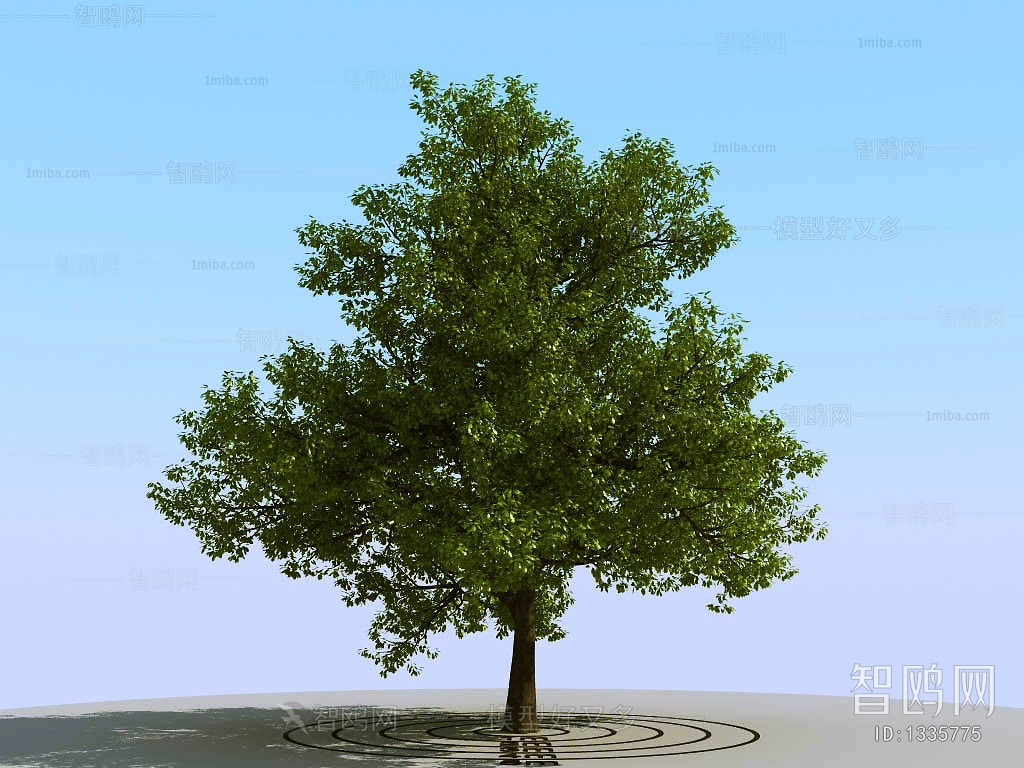 Modern Tree