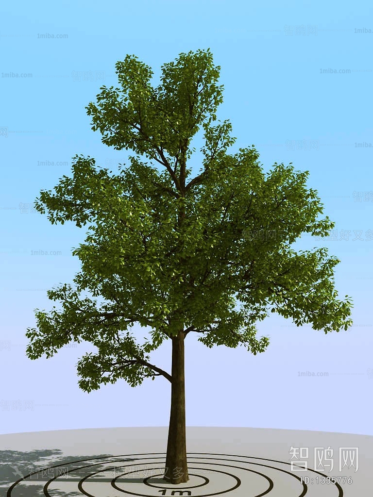 Modern Tree