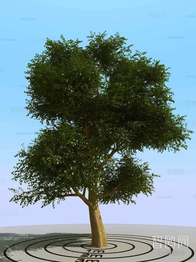 Modern Tree