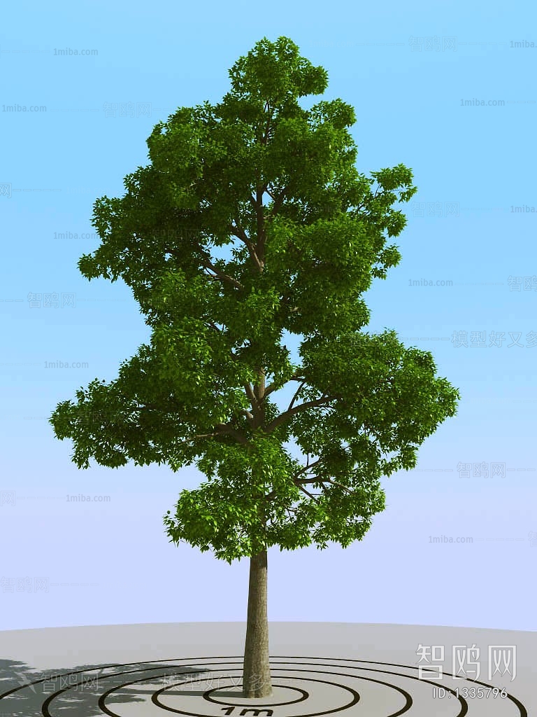 Modern Tree