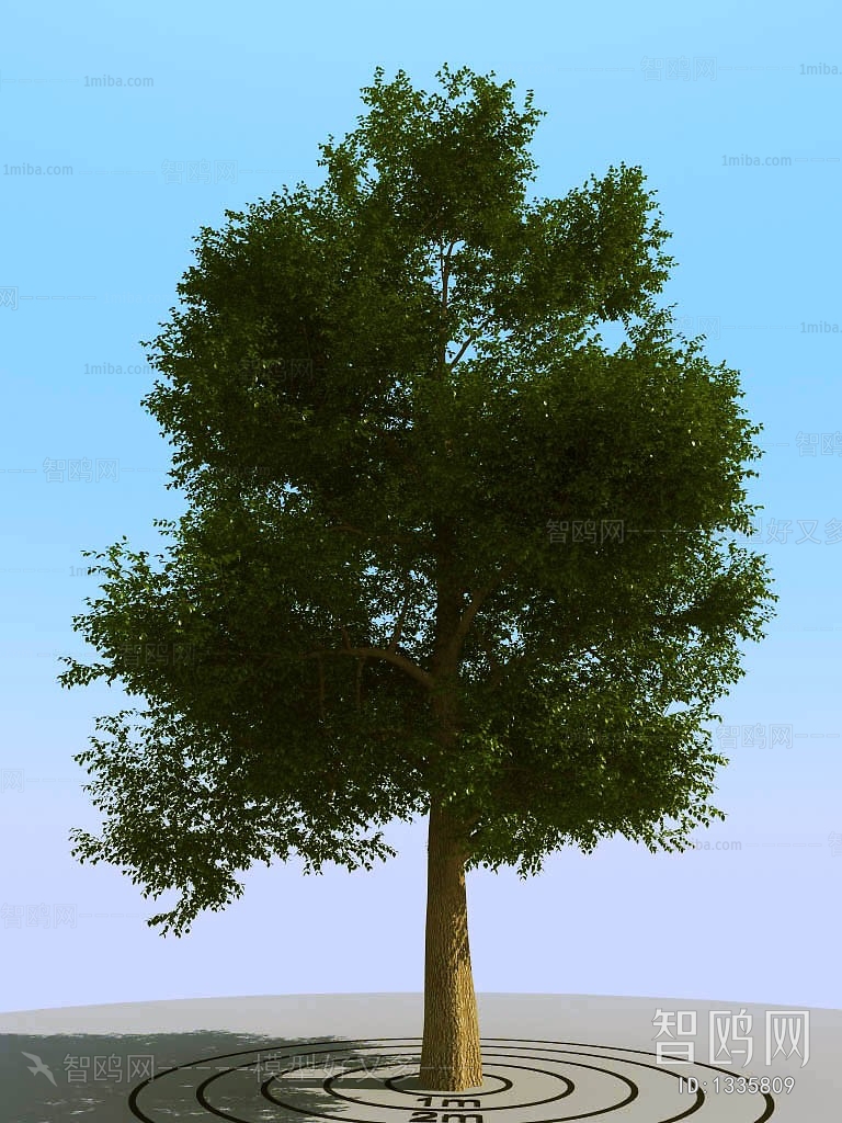 Modern Tree