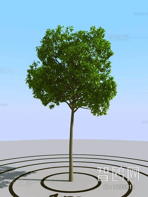 Modern Tree