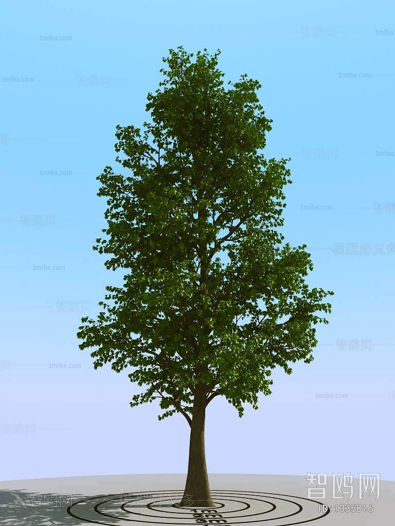 Modern Tree