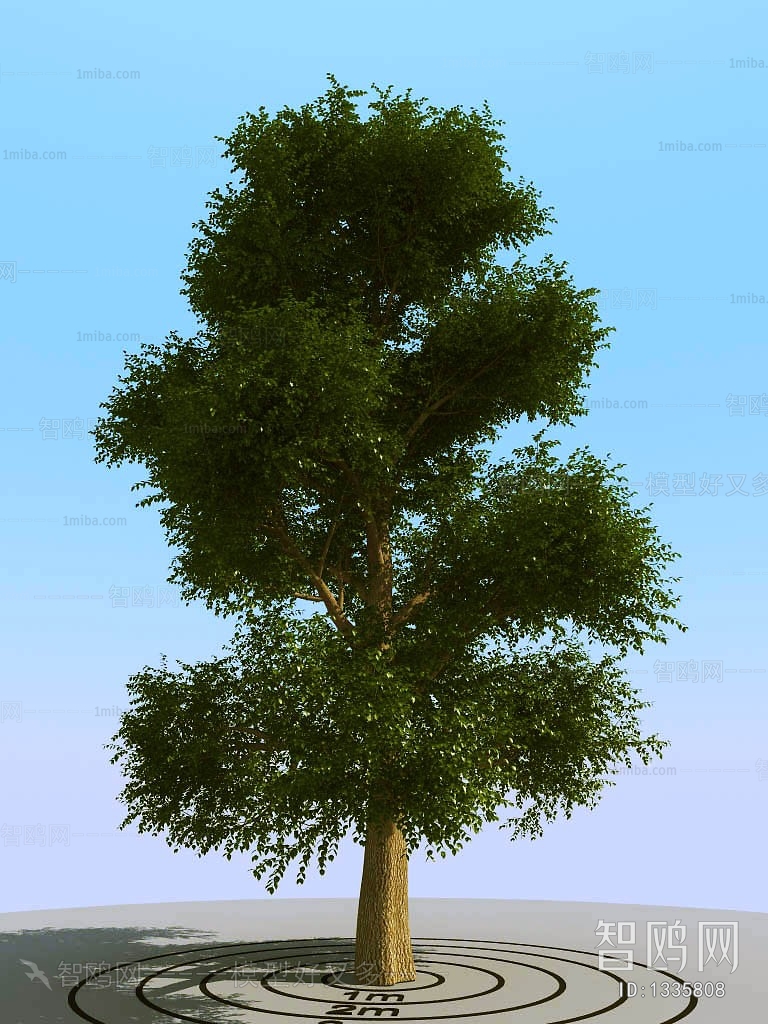 Modern Tree