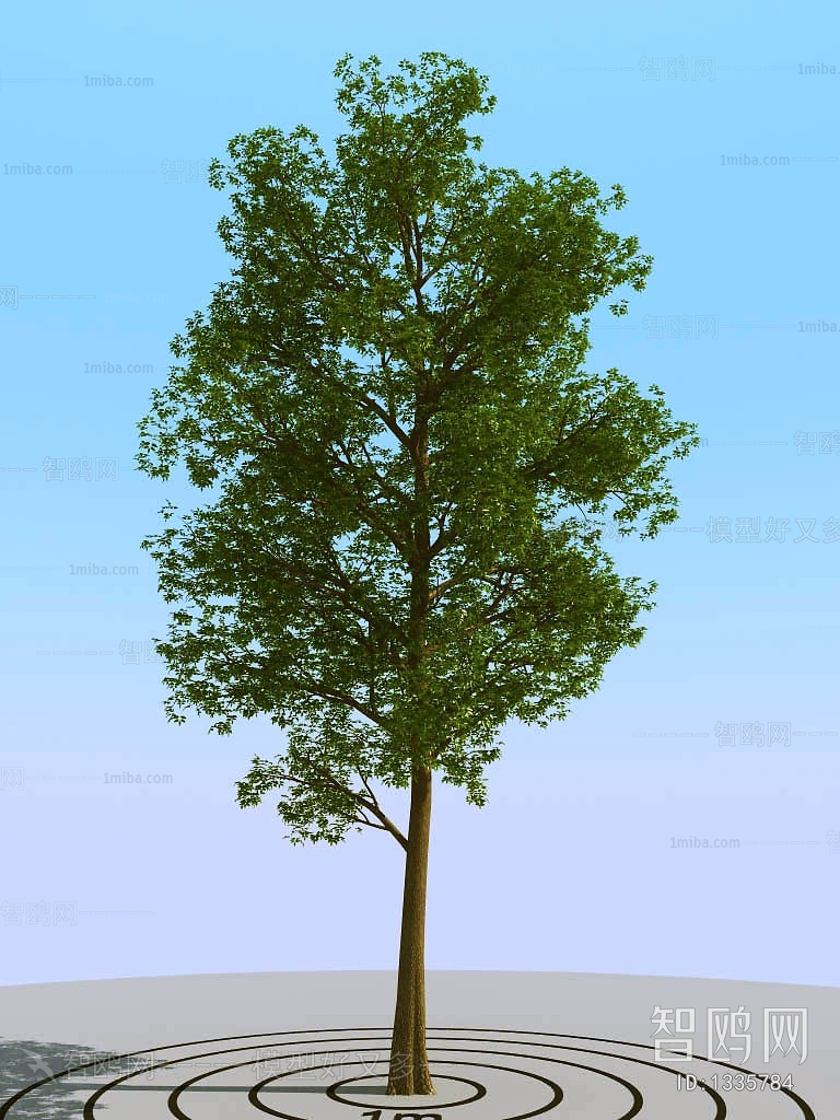 Modern Tree