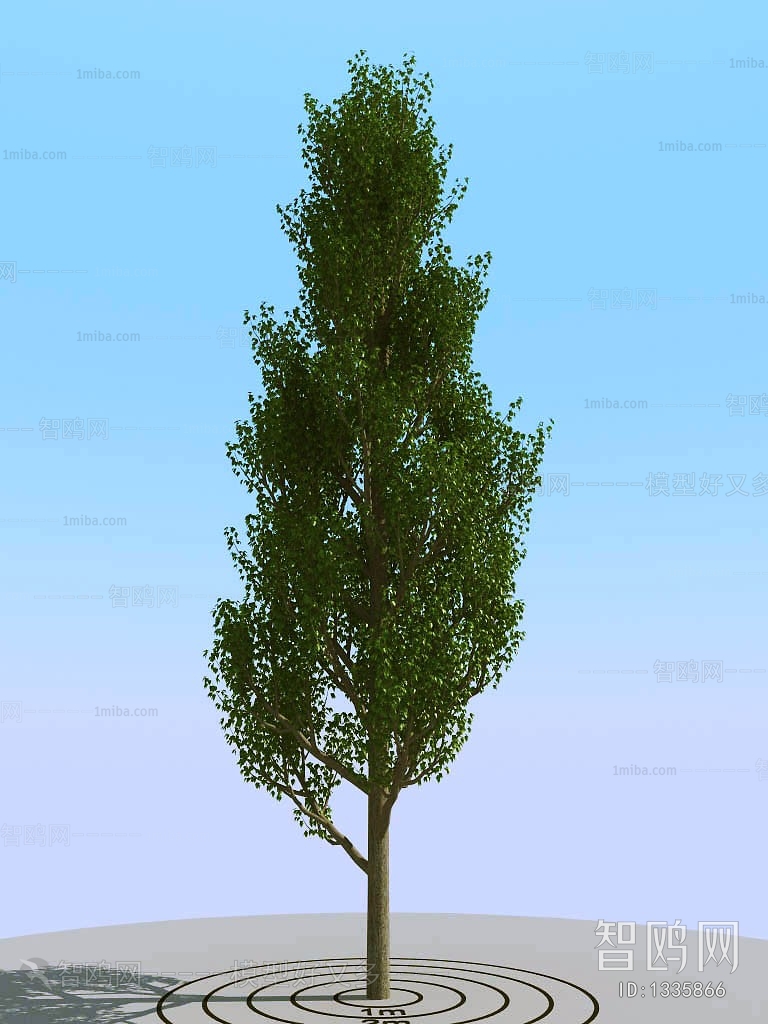 Modern Tree