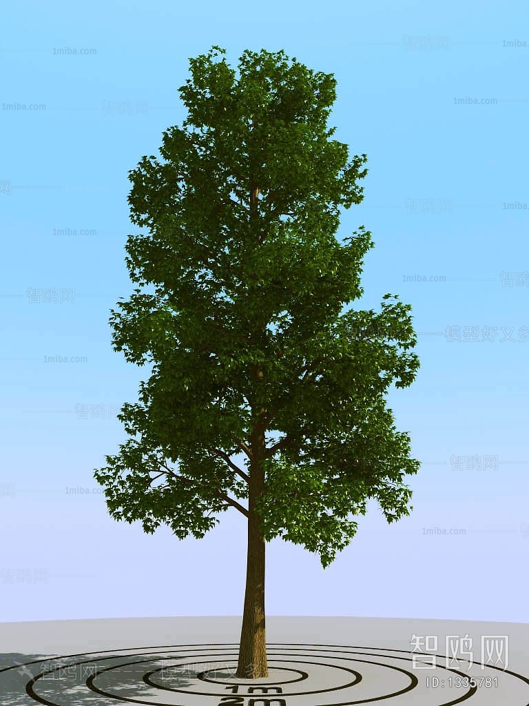 Modern Tree