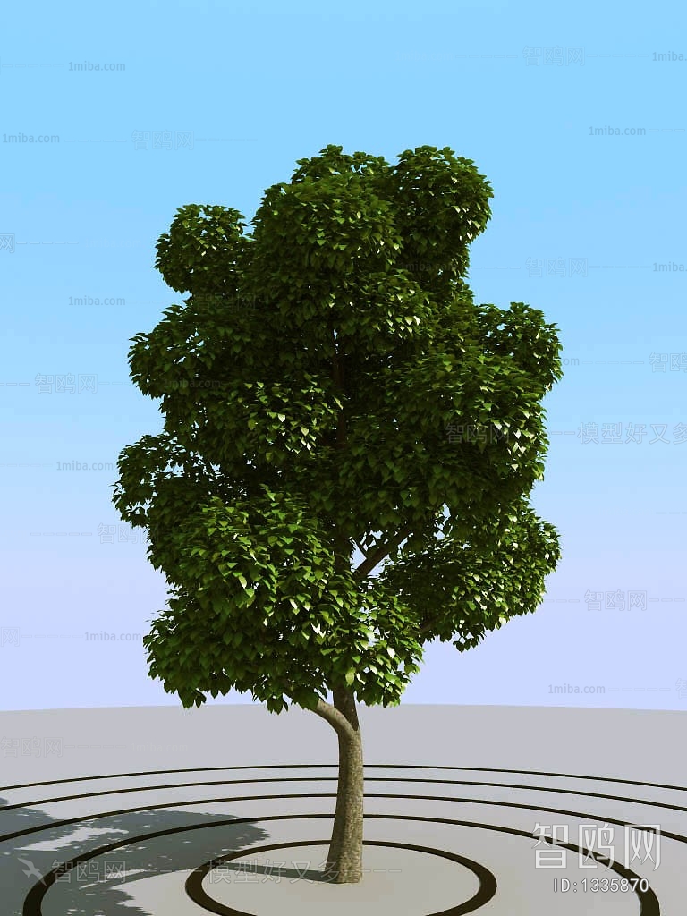 Modern Tree