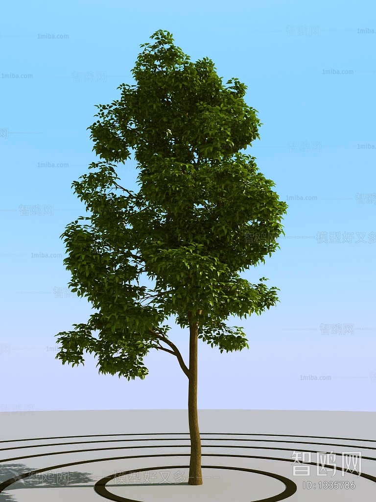 Modern Tree