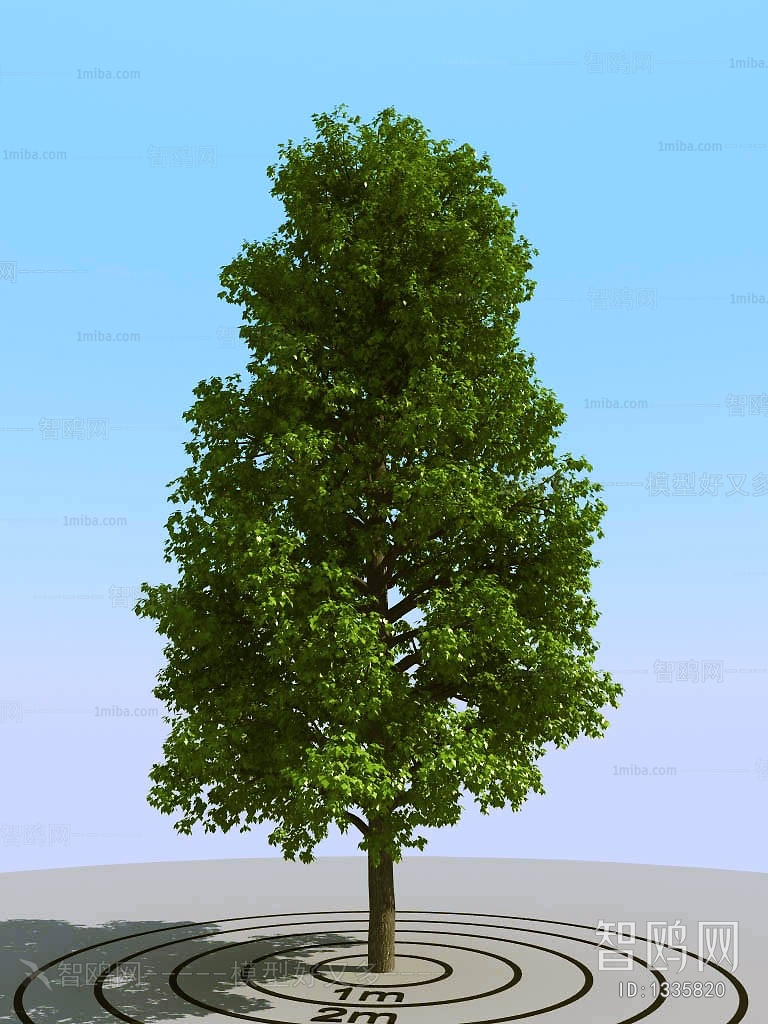 Modern Tree