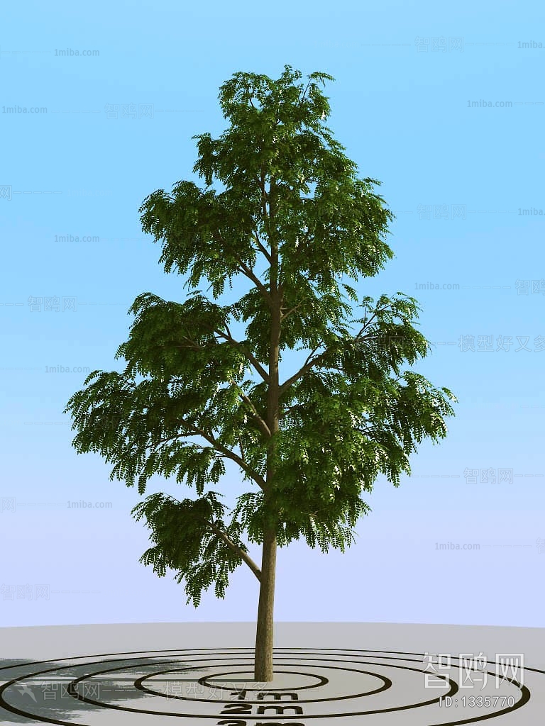 Modern Tree