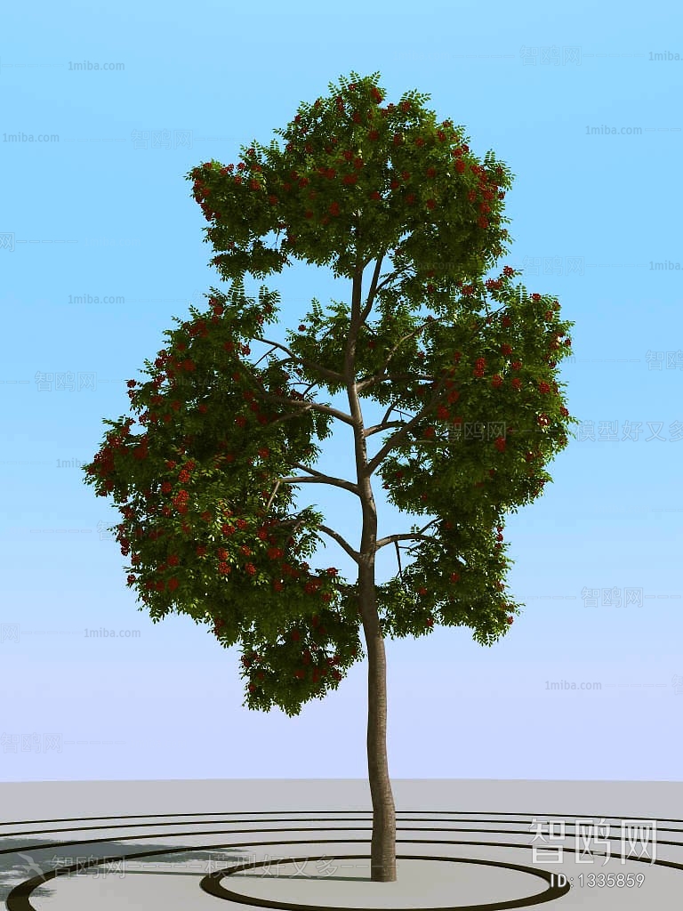 Modern Tree