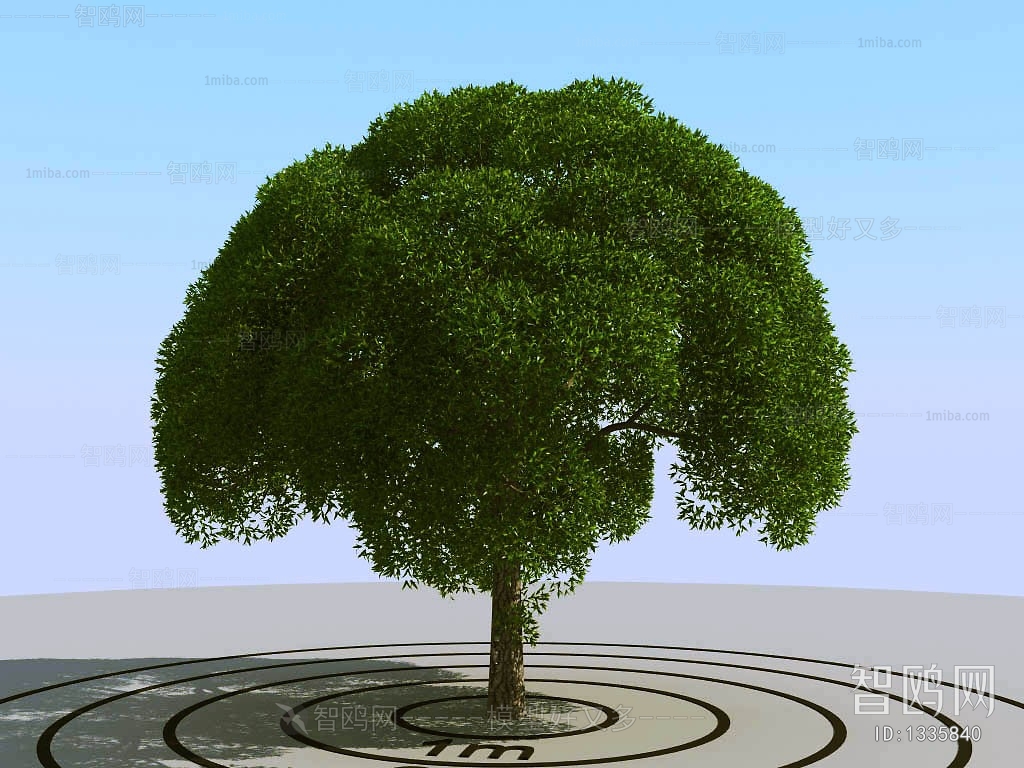 Modern Tree