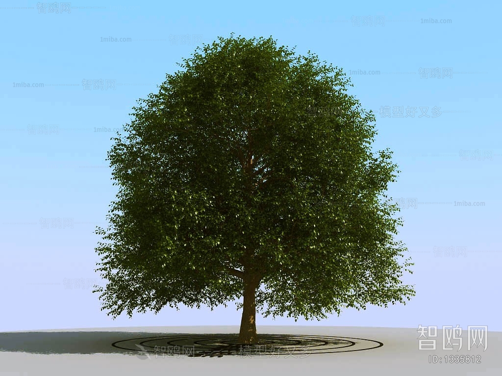 Modern Tree