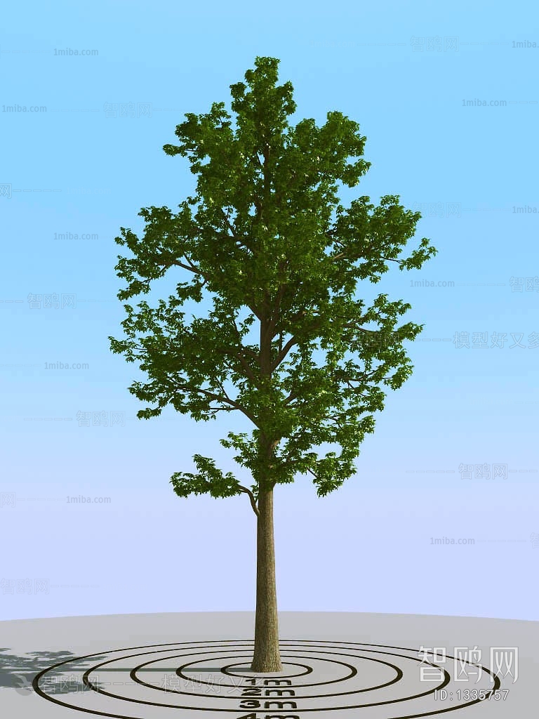 Modern Tree