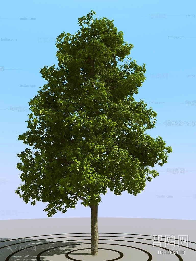 Modern Tree