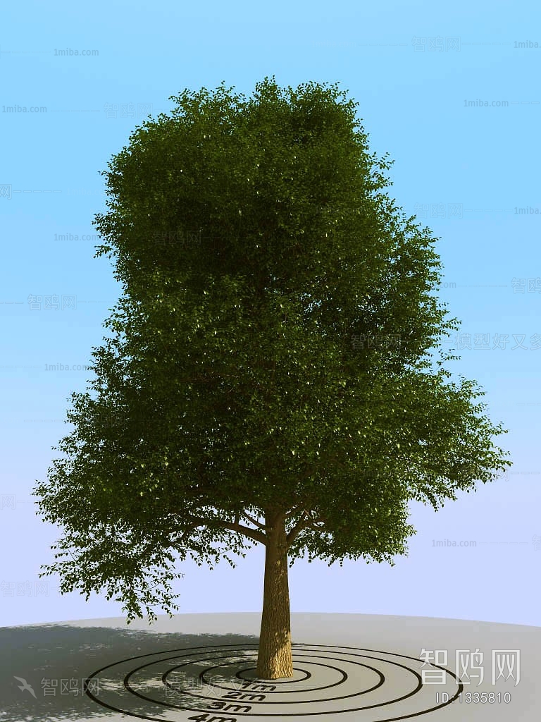 Modern Tree