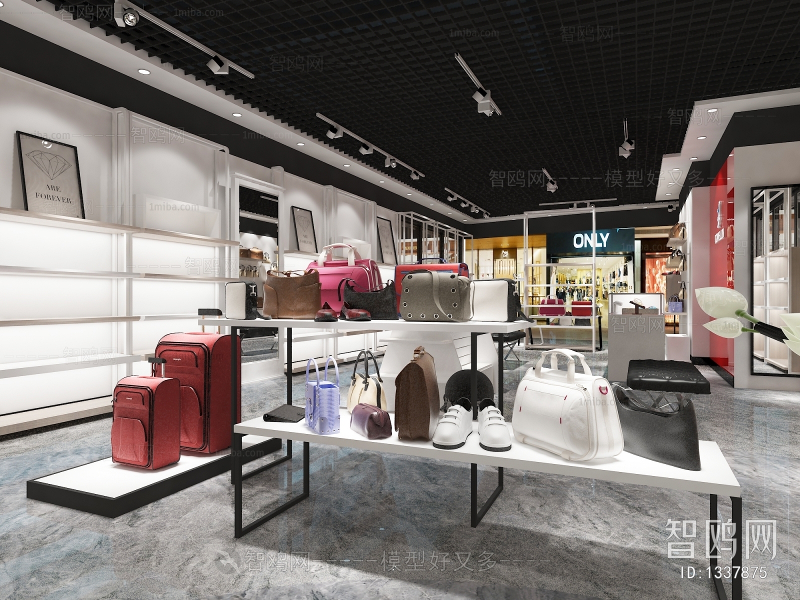 Modern Designer Bag Store