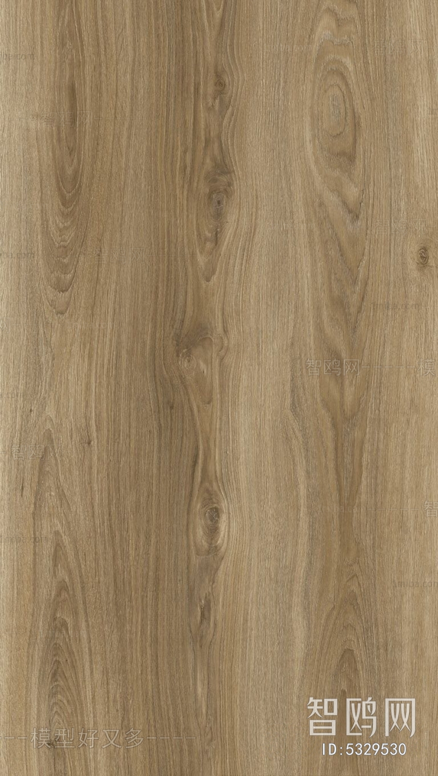 Wood Texture