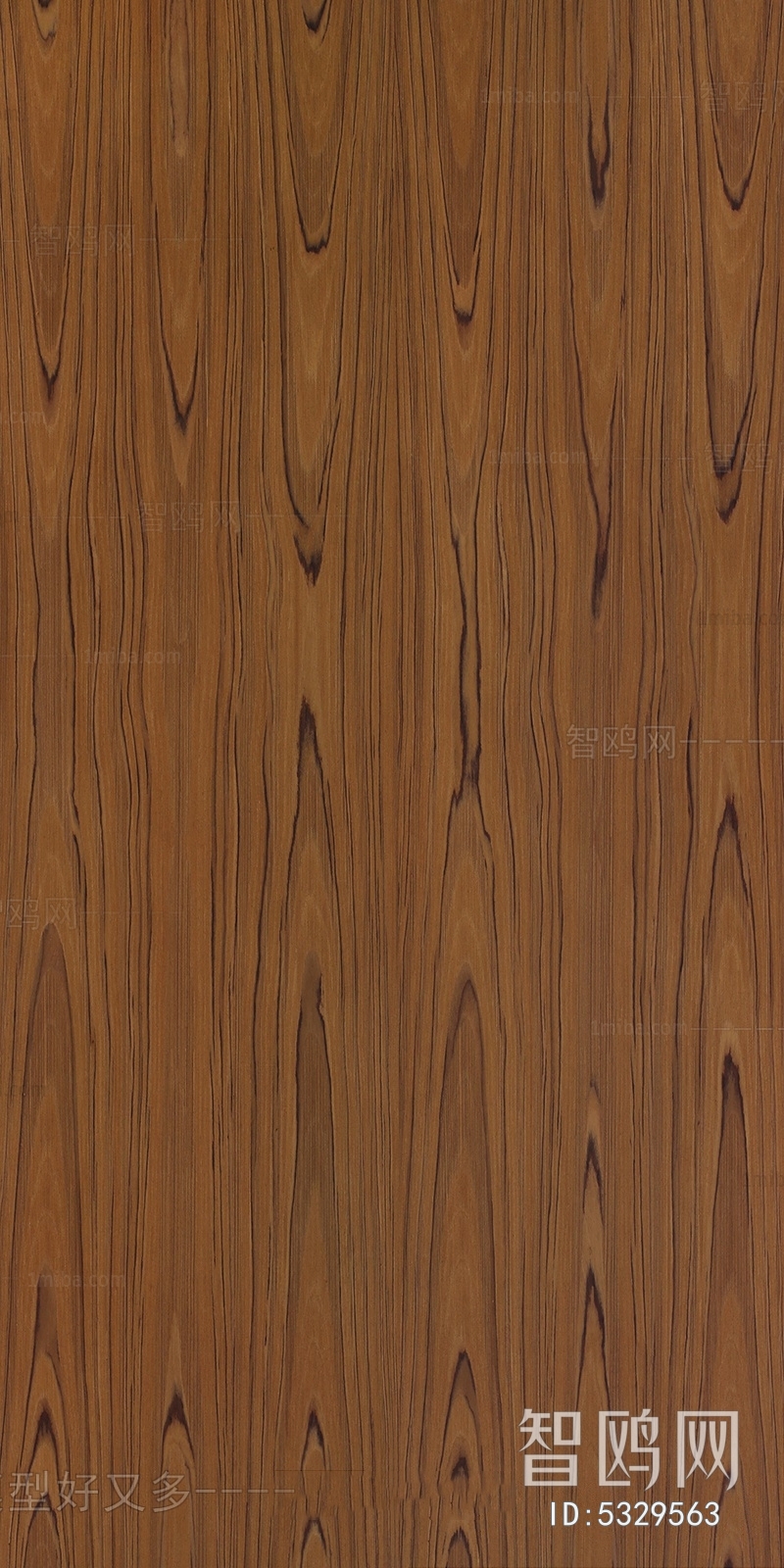 Wood Texture