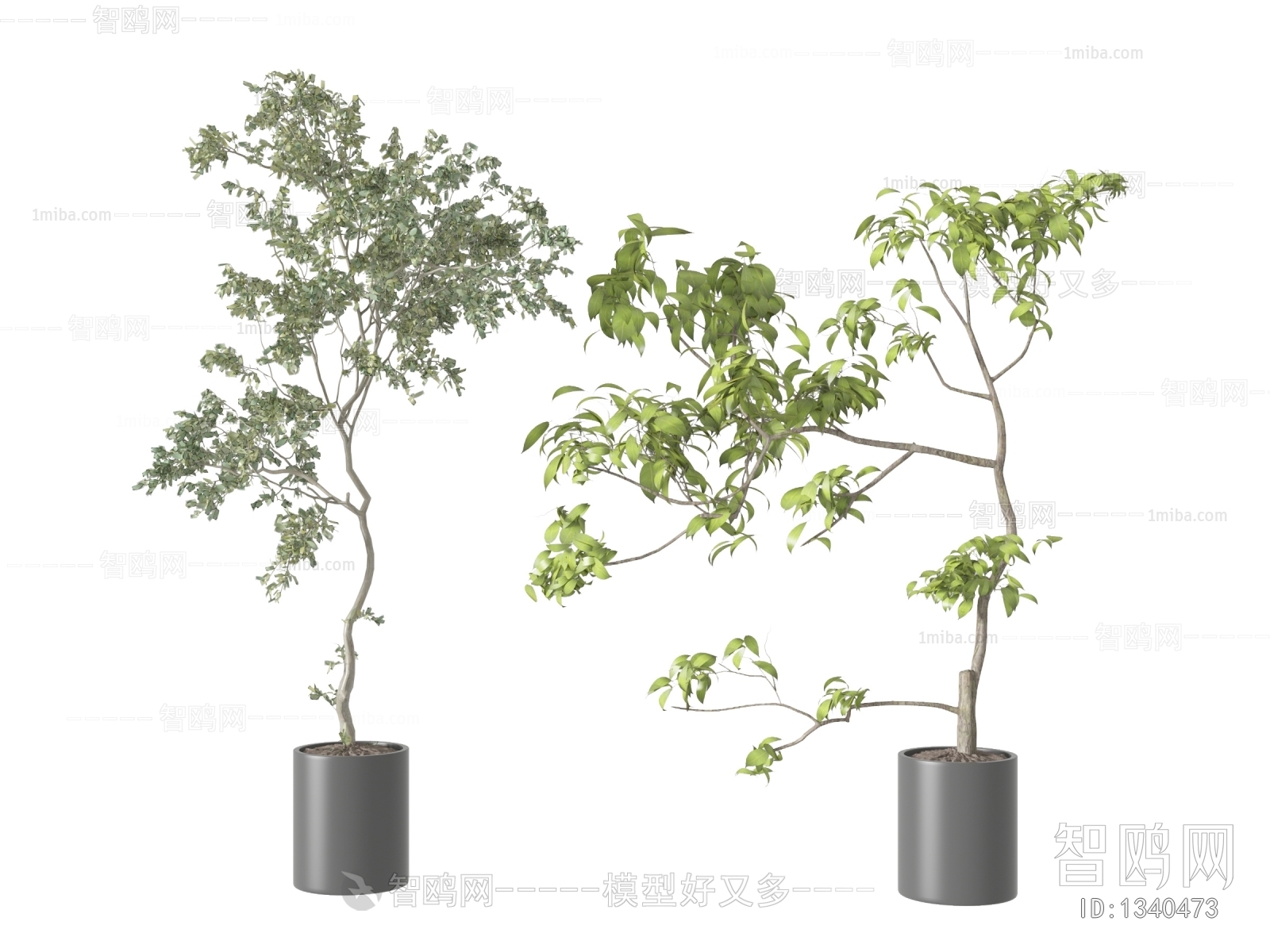 现代落地绿植盆栽