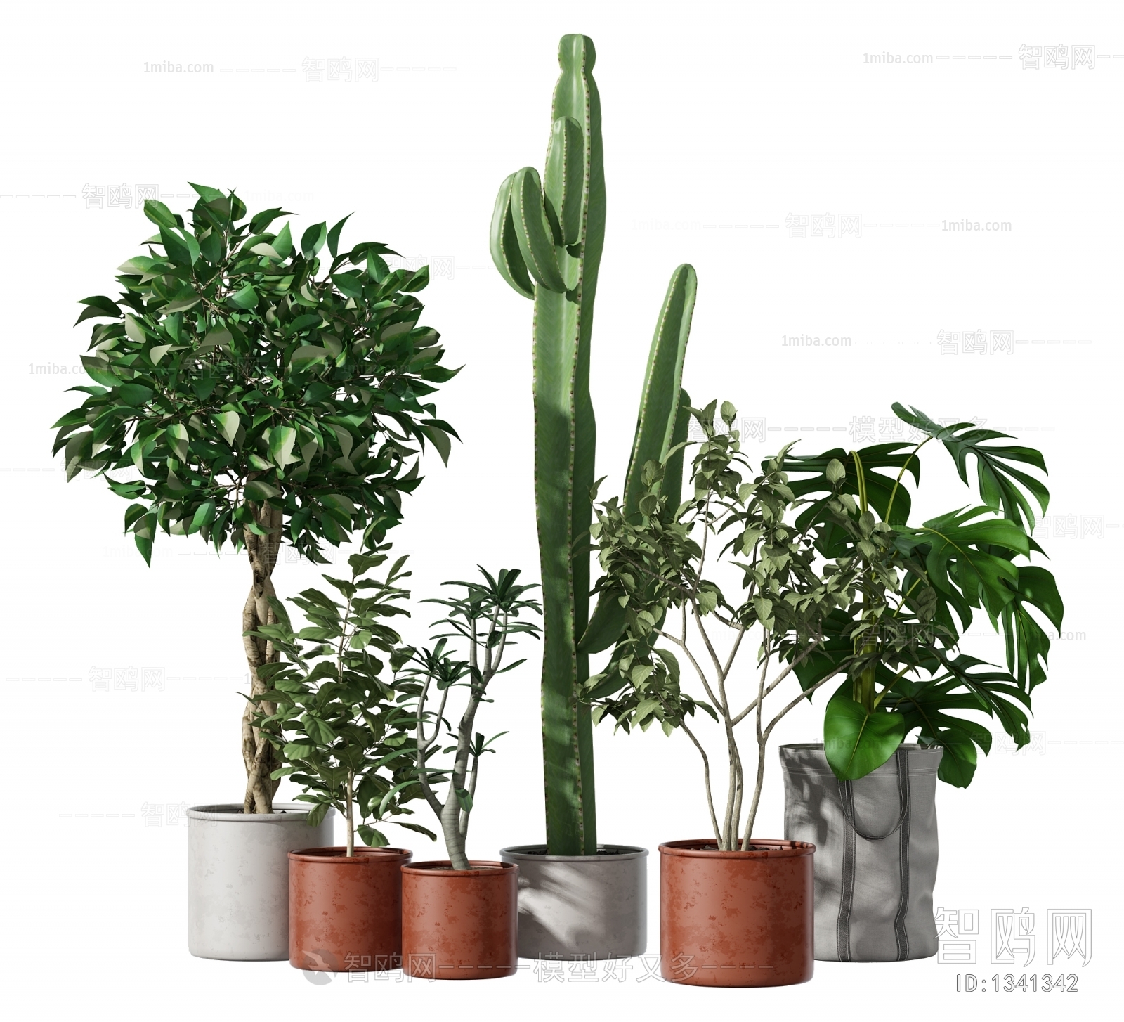 Modern Potted Green Plant