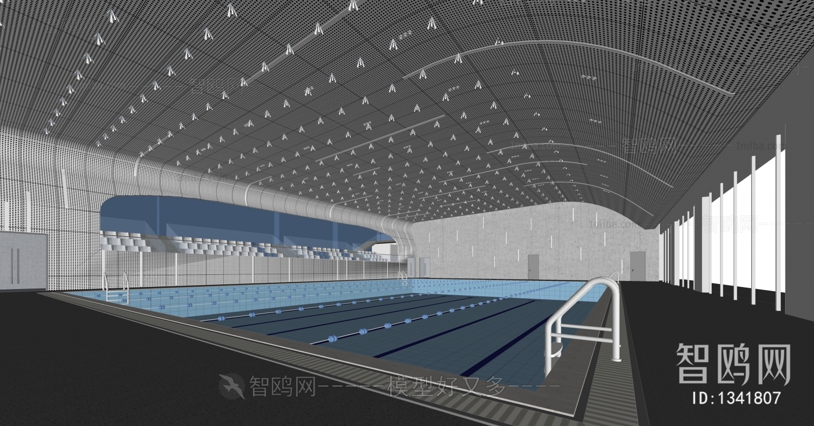 Modern Natatorium