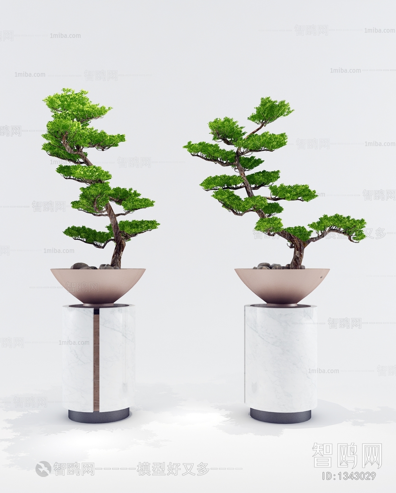 Modern Bonsai