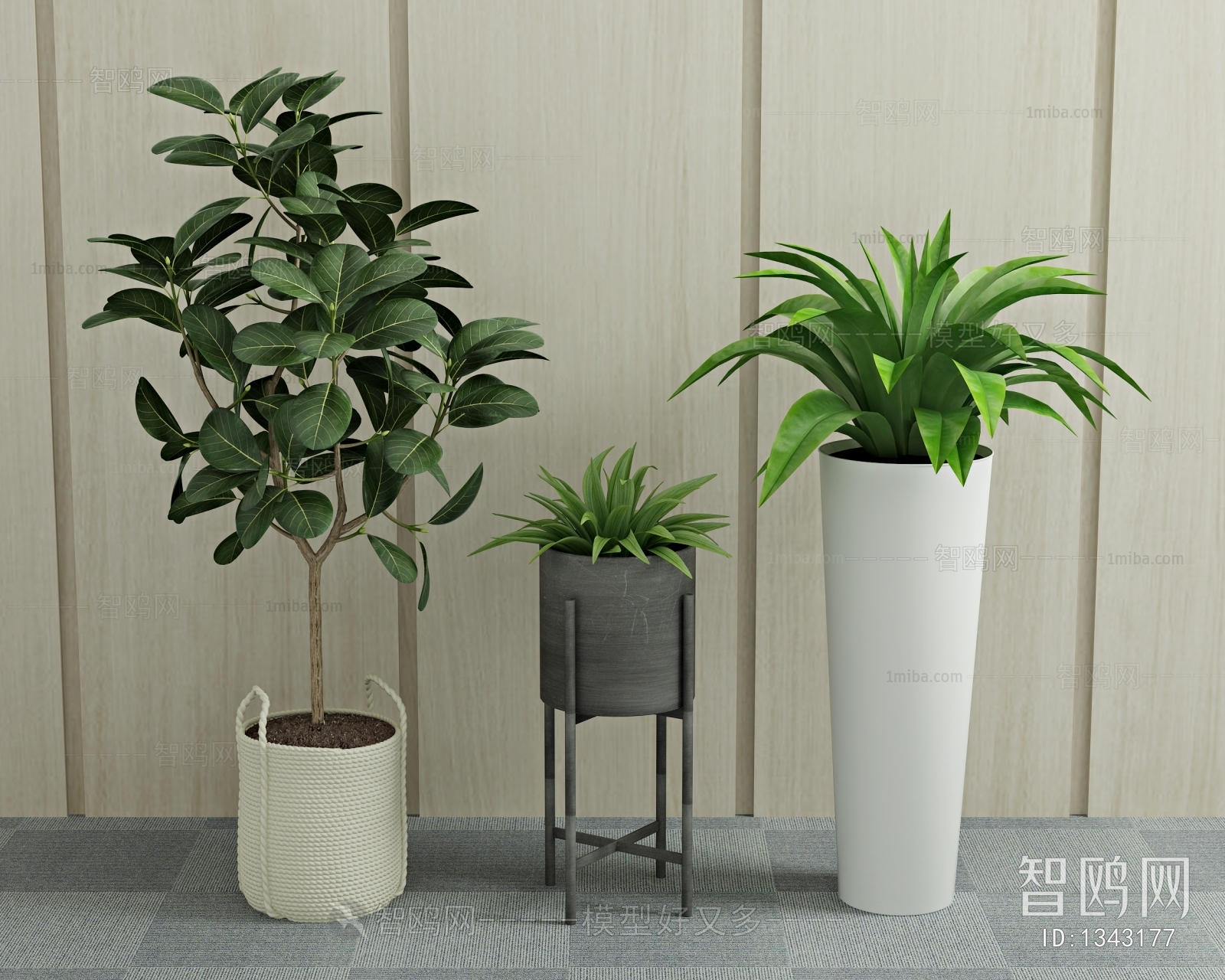 Modern Potted Green Plant