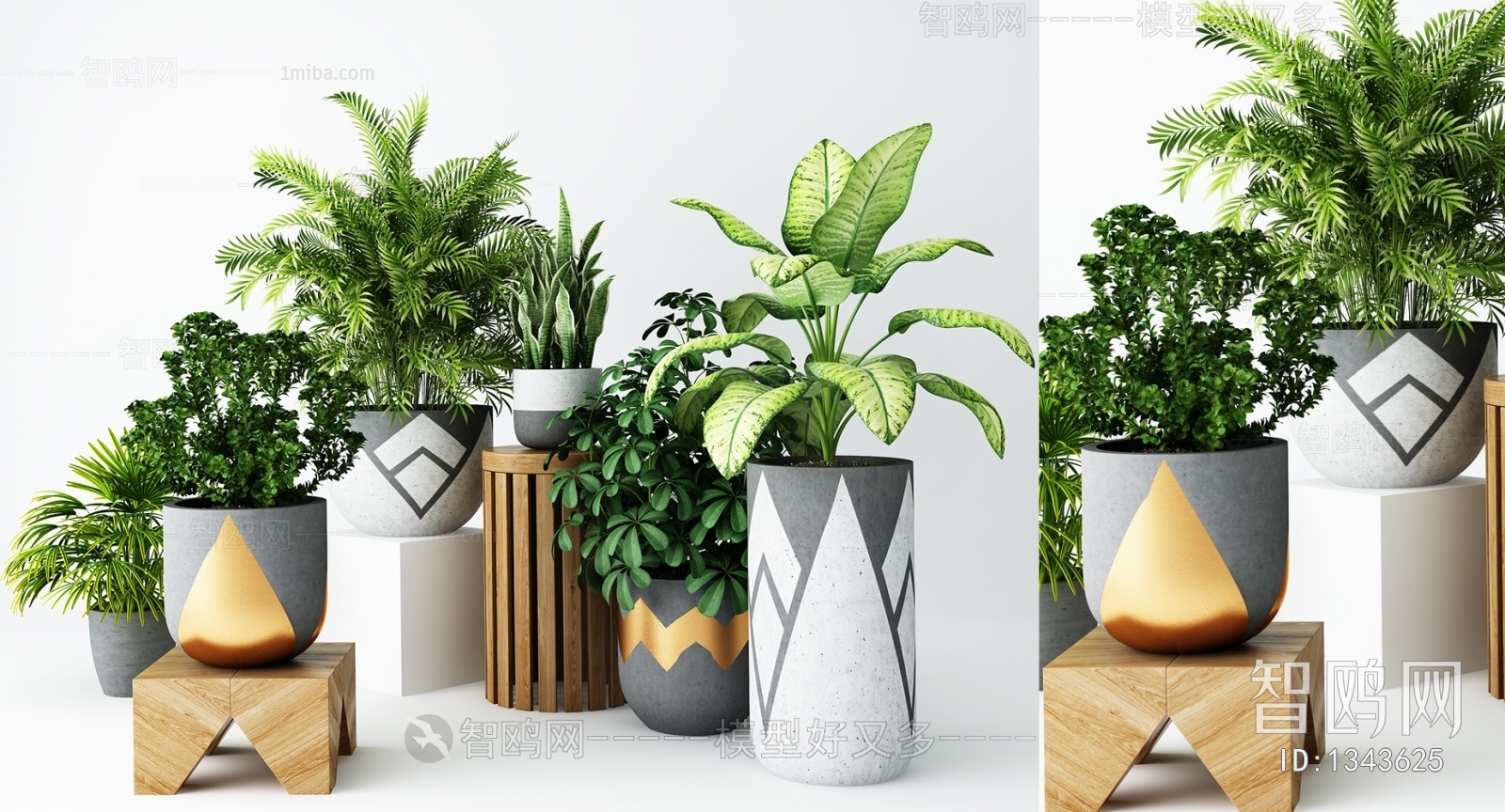 Modern Potted Green Plant