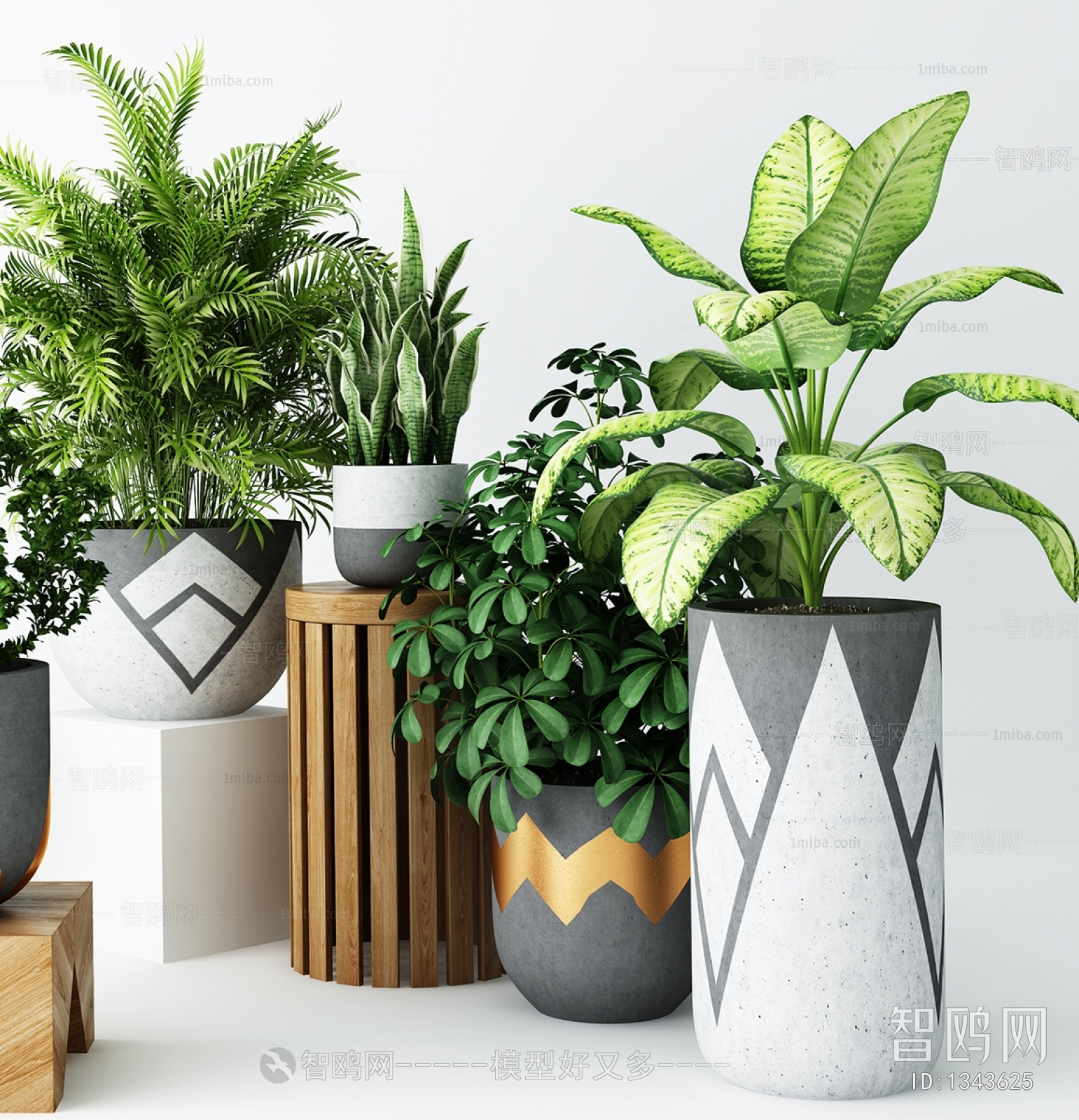 Modern Potted Green Plant