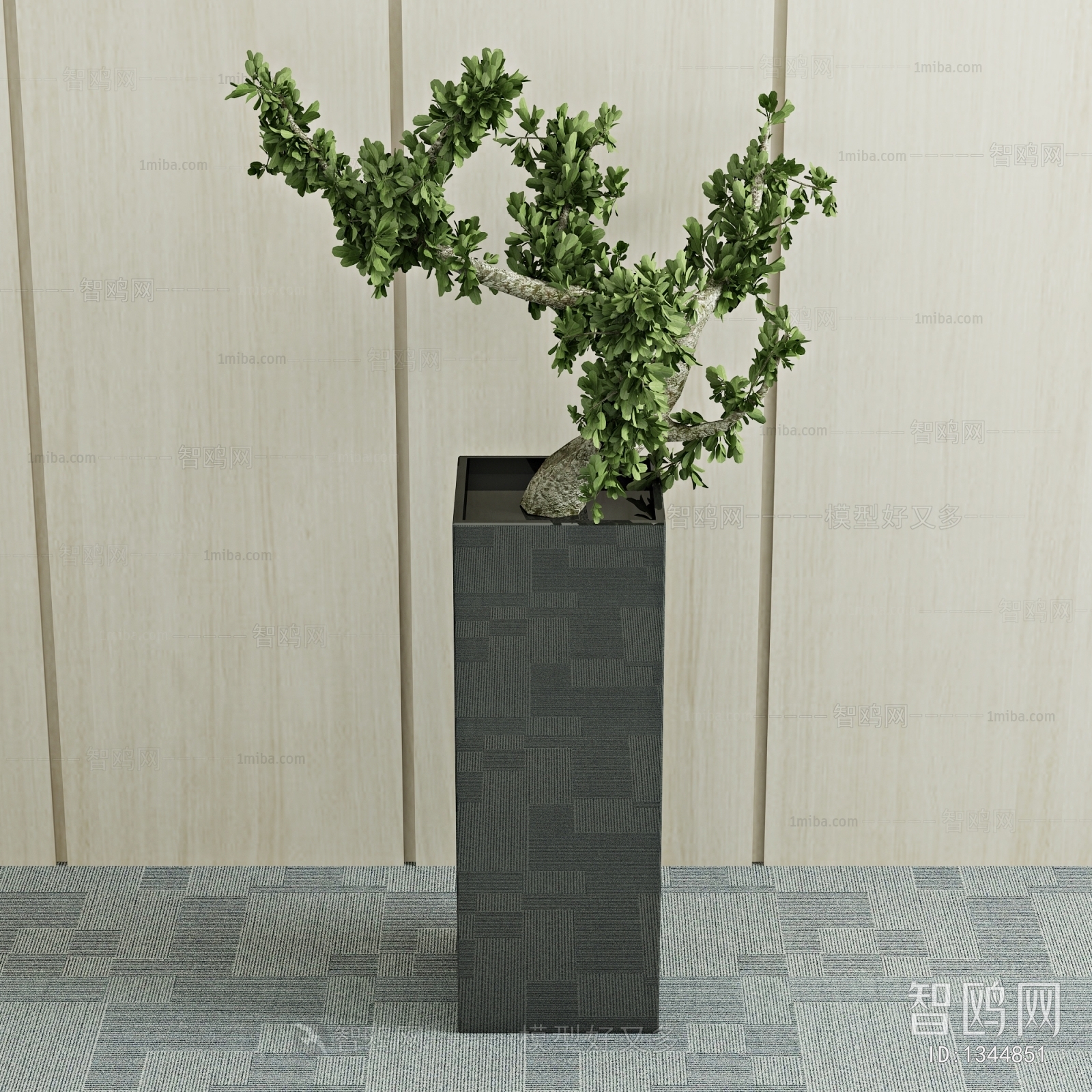 Modern Potted Green Plant